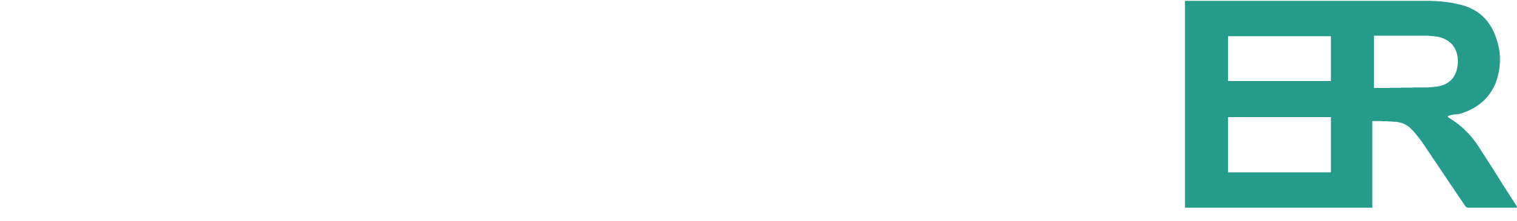 Electro Raiguer